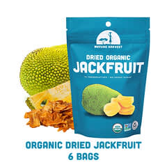 無農薬ジャックフルーツ (波羅蜜) 7kg西表島産 無農薬ジャックフルーツ (波羅蜜) 7kg西表島産