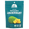 Organic Dried Jackfruit, 2 oz (56 g)