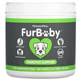 plant based enzymes for dogs