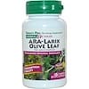 草藥活性，ARA-Larix橄欖葉複合物，750毫克，60植物膠囊