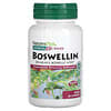 Herbal Actives, Boswellin, 300 mg, 식물성 캡슐 60 정