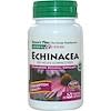 Herbal Actives, Echinacea, 200 mg, 60 Veggie Caps