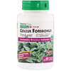 Herbal Actives, Coleus Forskohlii, 125 mg, 60 Vegetarian Capsules