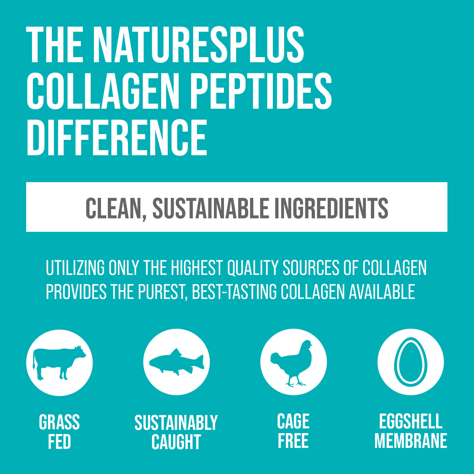 NaturesPlus, Collagen Peptides, 0.65 lb (294 g)