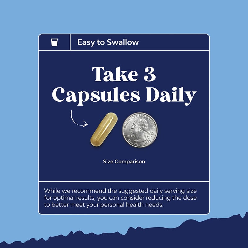 Winstown Fertilité – Lot De 2 Boîtes De 10 Capsules (20 Capsules), Neuves, Date 06/27