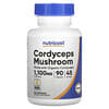 Cordyceps Mushroom, Cordyceps-Pilz, 1.100 mg, 90 Kapseln (550 mg pro Kapsel)