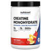 Performance, Créatine monohydrate, Punch aux fruits, 500 g