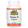 Stress B Formula, Plus 1,000 mg Vitamin C, 90 Tablets