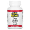 Iron Chelate, 25 mg, 90 Tablets