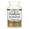 Extra Strength ClenZyme, 90 Vegetarian Capsules