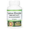 Enzyme lactase, 9000 FCC ALU, 60 capsules