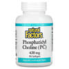 Phosphatidyl Choline (PC), 420 mg, 90 Softgels