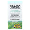 Natural Factors, PEA400, 90 Vegetarian Capsules