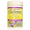 Chia Factors, добавка для полноценного питания, 360 г