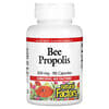 Bee Propolis, 500 mg, 90 Capsules