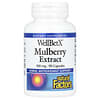 WellBetX, Maulbeeren-Extrakt, 100 mg, 90 Kapseln