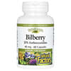 Bilberry, 40 mg, 60 Capsules