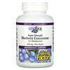 BlueRich, Super Strength Blueberry Concentrate, 500 mg, 90 Softgels