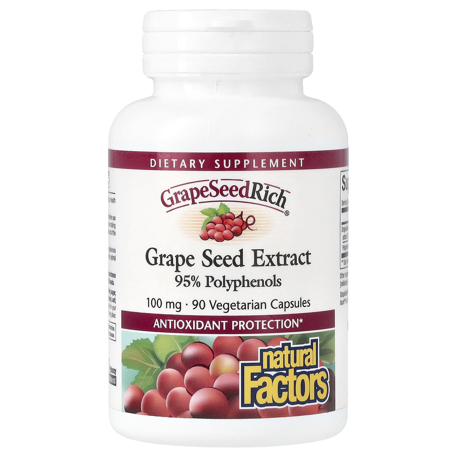 grape SEED １～８ Amazon.com : 40+ Grape Seeds (Mixed): Grow Your Own Vines