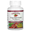 GrapeSeedRich, Grape Seed Extract, 100 mg, 90 Vegetarian Capsules