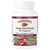 GrapeSeedRich, Extrait de pépins de raisin, 100 mg, 90 capsules végétariennes