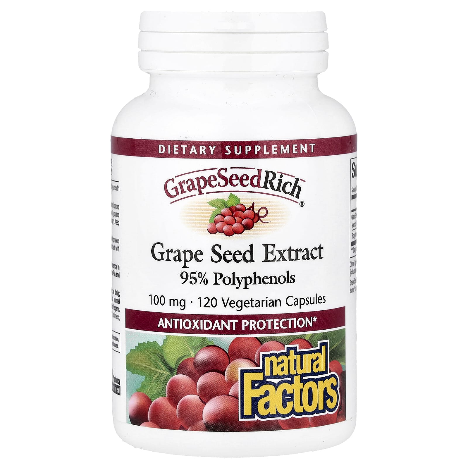 GrapeSeedRich®, Grape Seed Extract, 100 mg, 120 Vegetarian Capsules