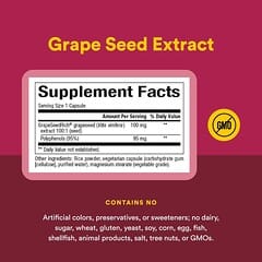 GrapeSeedRich®, Grape Seed Extract, 100 mg, 120 Vegetarian Capsules