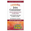 CurcuminRich, Joint Curcumizer, 60 Vegetarian Capsules