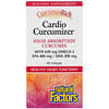 CurcuminRich, Cardio Curcumizer, 60 Softgels