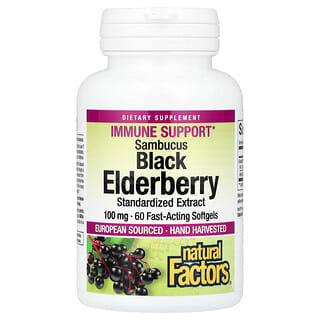 Natural Factors (내추럴팩터스), 삼부커스 블랙 엘더베리, 100mg, 빠른 작용 소프트젤 60정