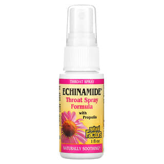 Natural Factors, Echinamide, Spray pour la gorge avec propolis, 30 ml