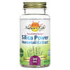 Silica-Power Horsetail Extract , 300 mg, 60 Vegetarian Capsules