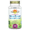 Экстракт хвоща Silica Power, 300 мг, 60 вегетарианских капсул