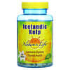 Icelandic Kelp, 500 Tablets
