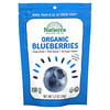 Natierra, Organic Freeze-Dried Blueberries, 1.2 oz (34 g)