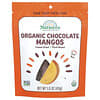 Rodajas de mango con sabor a chocolate orgánico liofilizado, 43 g (1,5 oz)