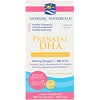 Prenatal DHA, Fish Gelatin, Unflavored, 500 mg, 180 Soft Gels