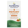 Memory Support, смесь омега кислот для поддержки памяти, 1000 мг, 60 капсул (500 мг в 1 капсуле)