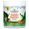 Nordic Naturals, Nordic Berries, Multivitamin Gummies, Ages 3+, Original, 120 Gummy Berries