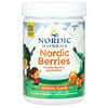 Nordic Berries، علكات متعددة الفيتامينات، النكهة الأصلية، 200 علكة بطعم التوت