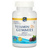Vitamin D3 Gummies, Wild Berry, 1,000 IU, 120 Gummies