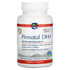 Prenatal DHA, 500 mg, 90 Softgels