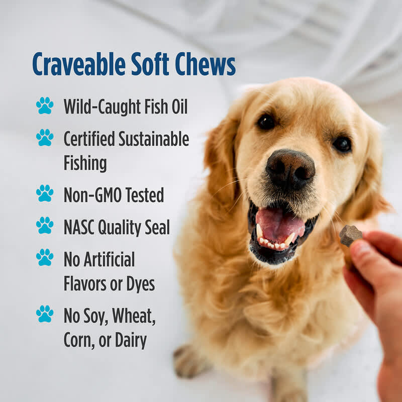 Joint Support + Omega-3, For Dogs, Bone Broth, 30 Soft Chews, 5.29
