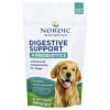 Nordic Naturals, Sokongan Penghadaman + Probiotik, Untuk Anjing, Sup Tulang, 30 Kunyah Lembut, 5.29 oz (150 g)