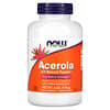 Acerola 4:1 Extract Powder, 6 oz (170 g)