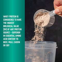 NOW FOODS ココアパウダー & GOLD SPORT ホエイプロテイン Chocolate Protein Powder | Whey Chocolate Protein Powder | NOW