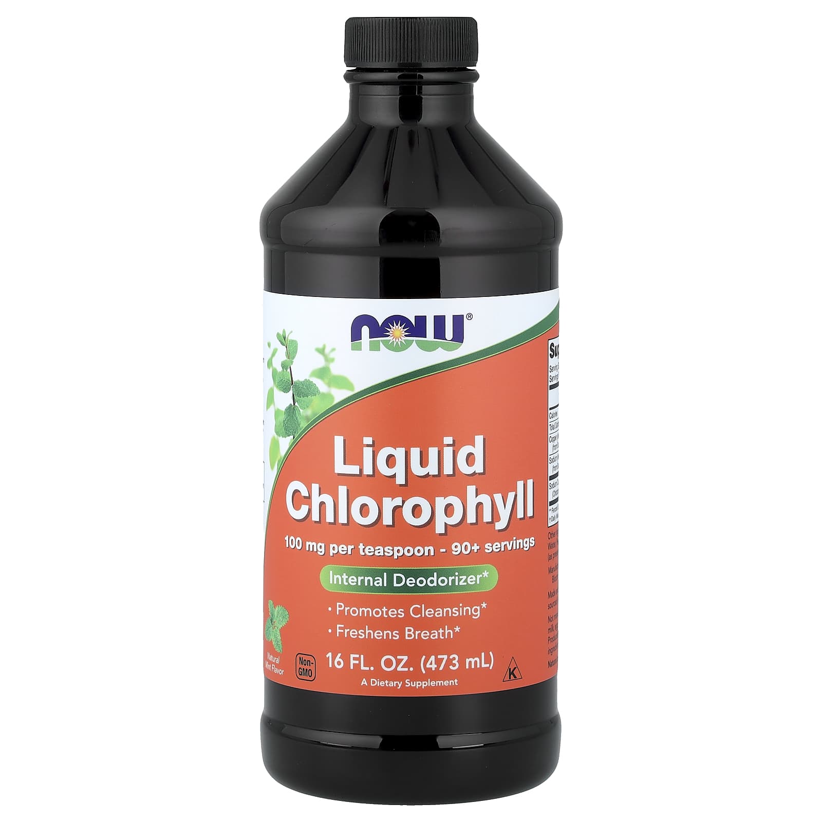 Liquid Chlorophyll, Mint, 16 fl oz (473 ml)