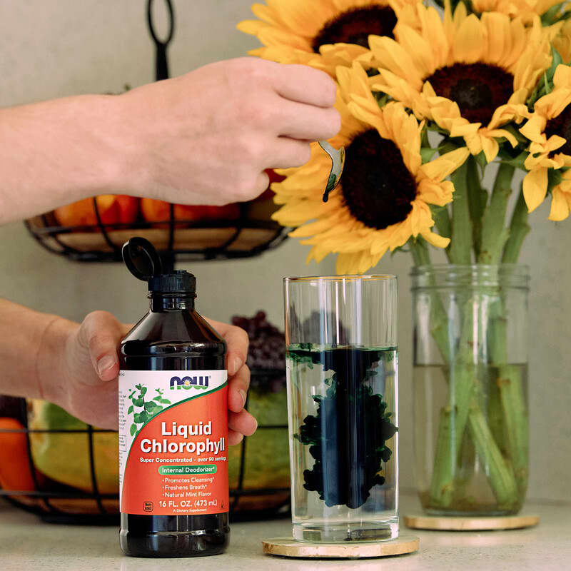 NOW Foods, Chlorophylle liquide menthe, 16 fl oz | iHerb