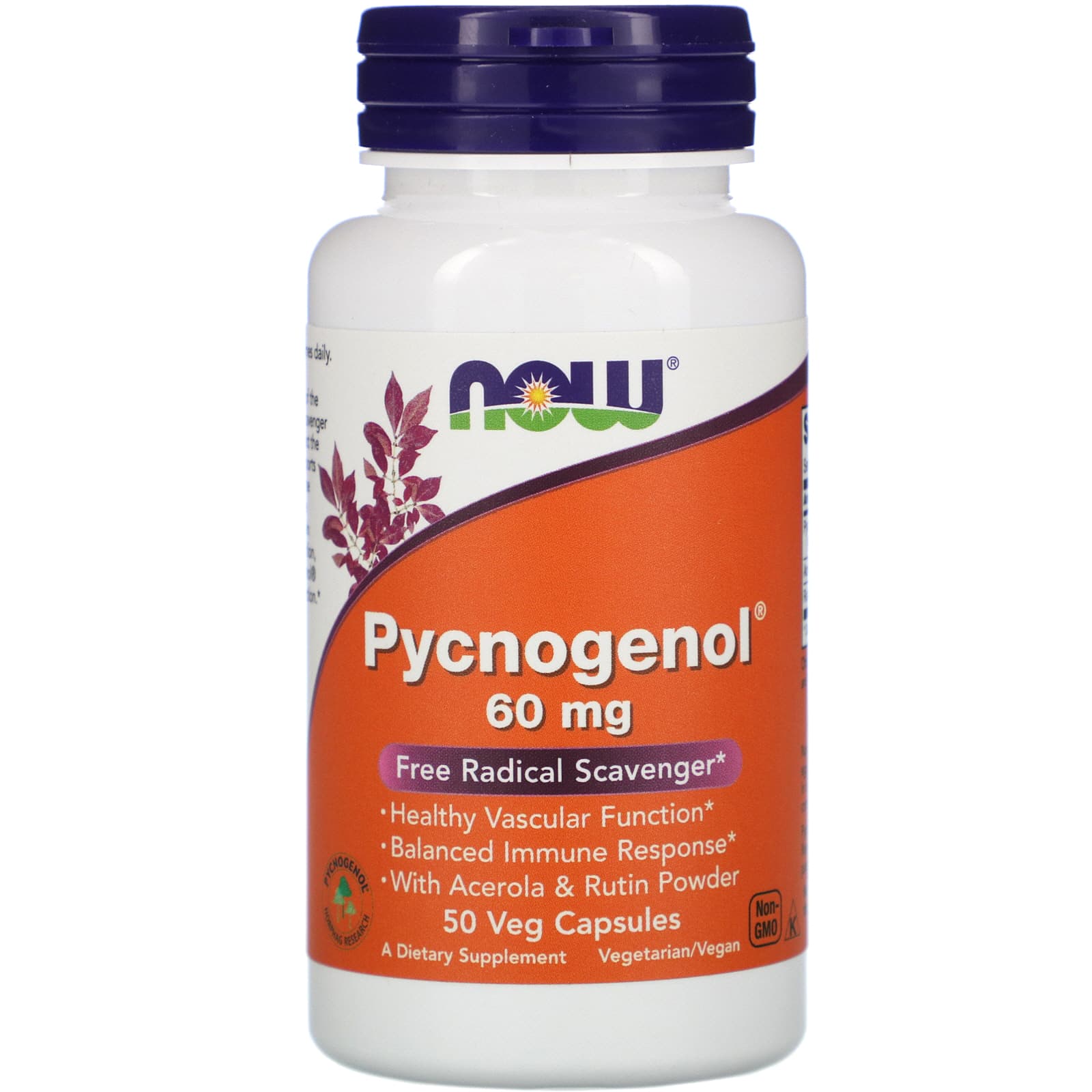 NOW Foods, Pycnogenol，60 mg，50粒植物膠囊