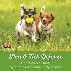 NOW Foods, Pets, Flea & Tick Spray for Dogs, 8 fl oz (237 ml)